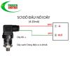 cam-bien-ap-suat-cho-may-ep-phun-haiti-tin-hieu-ra-0-10v-4-20ma-0-5v-0-250bar - ảnh nhỏ 3
